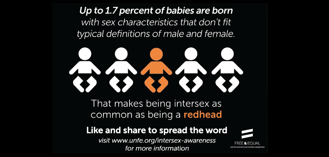 Intersex Awareness Day Intersex Rights Are Human Rights